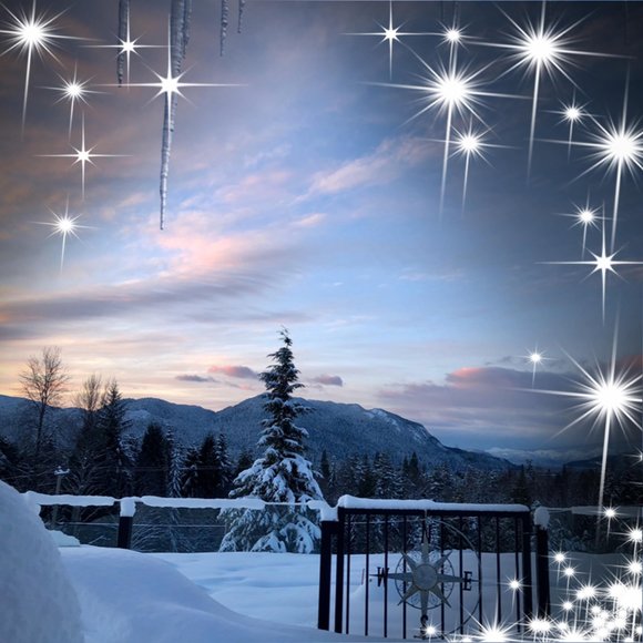 Meet your Posher, Laura - Picture 1 of 1